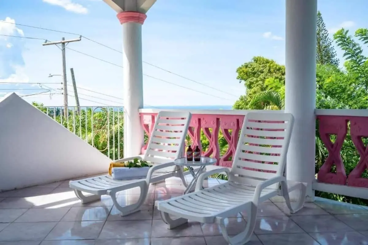 Sweetsop Jamaica Villa And Tour Montego Bay Jamajka
